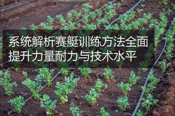 系统解析赛艇训练方法全面提升力量耐力与技术水平