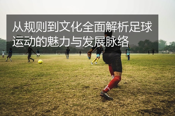 从规则到文化全面解析足球运动的魅力与发展脉络