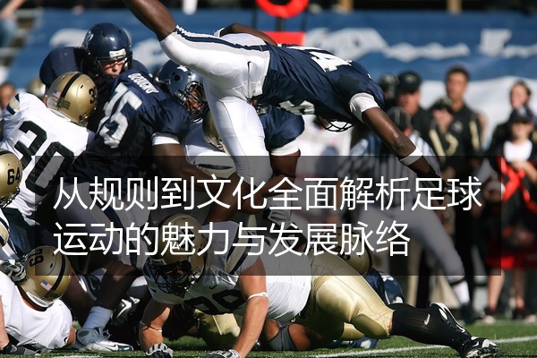 从规则到文化全面解析足球运动的魅力与发展脉络