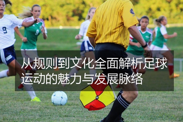 从规则到文化全面解析足球运动的魅力与发展脉络