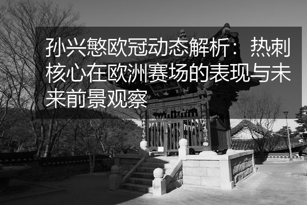 孙兴慜欧冠动态解析:热刺核心在欧洲赛场的表现与未来前景观察